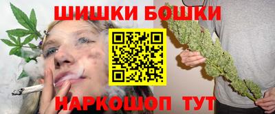 стафф Шелехов