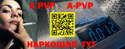 стафф Шелехов