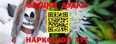 стафф Шахты