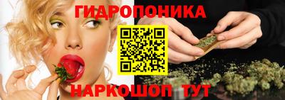 шишки Шебекино