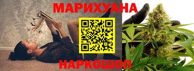 шишки Шебекино