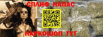 стафф Шелехов