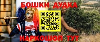 стафф Шахты