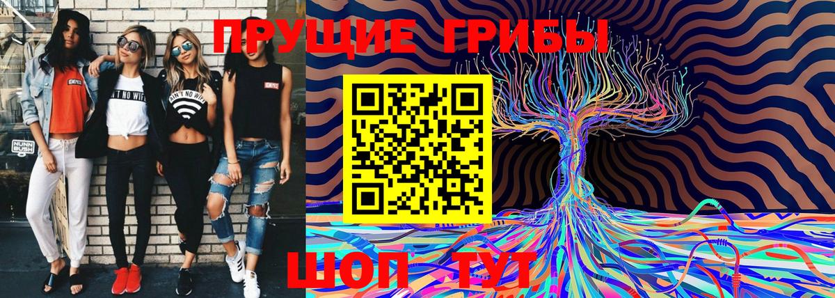 Галлюциногенные грибы Psilocybine cubensis Искитим