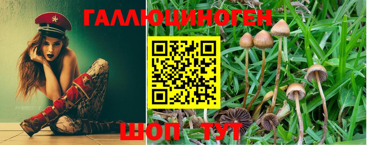 Галлюциногенные грибы MAGIC MUSHROOMS Искитим
