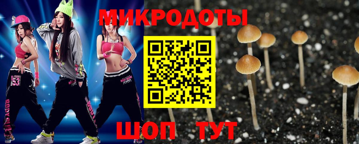 Псилоцибиновые грибы Cubensis  Искитим 