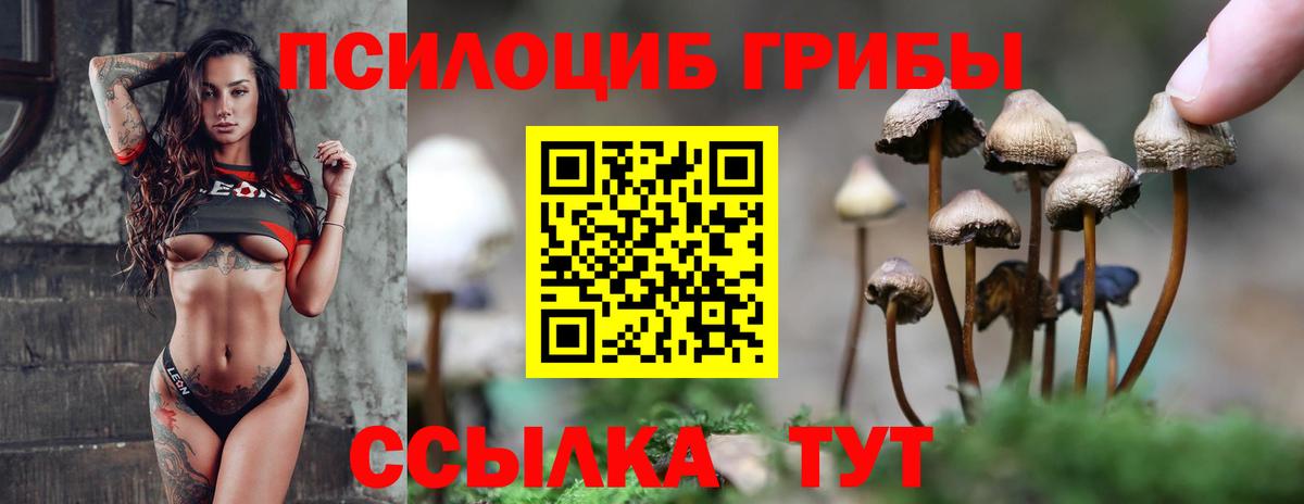 Галлюциногенные грибы мицелий  Вход с VPN  Галлюциногенные грибы ЛСД  Искитим 